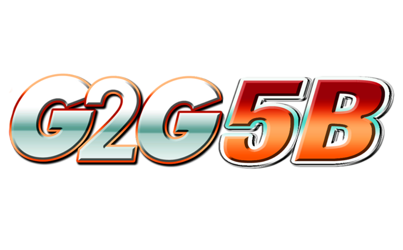 g2g5bs.net